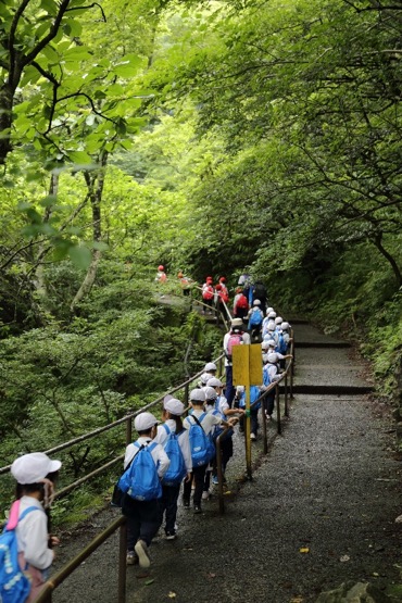 夏山のお泊り会